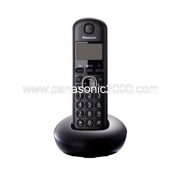 تلفن-بیسیم-پاناسونیک-مدل-KX-TGB210.jpg